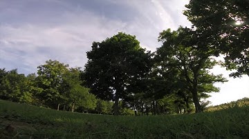 Freestyle Brie FPV // ARMATTAN CHAMELEON