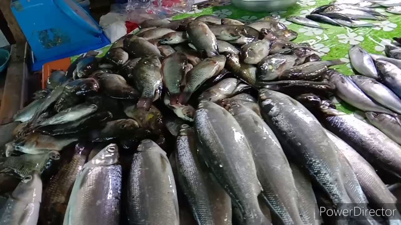 Public Market Day, May 1st, 2020, Pozorrubio, Pangasinan Province