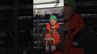 Отправляем саженцы роз в любой уголок России 💚🙌 Гаршинка.ру