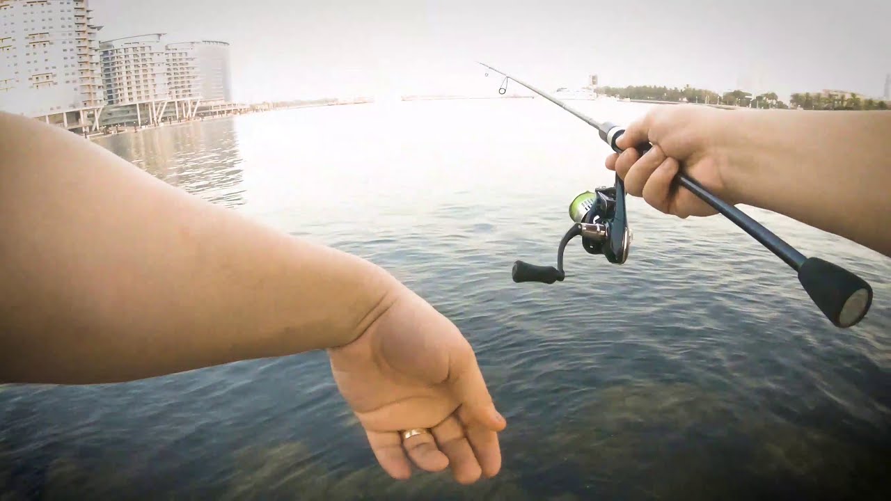 Secrets of UL Set Up for Bream Fishing in Dubai YouTube