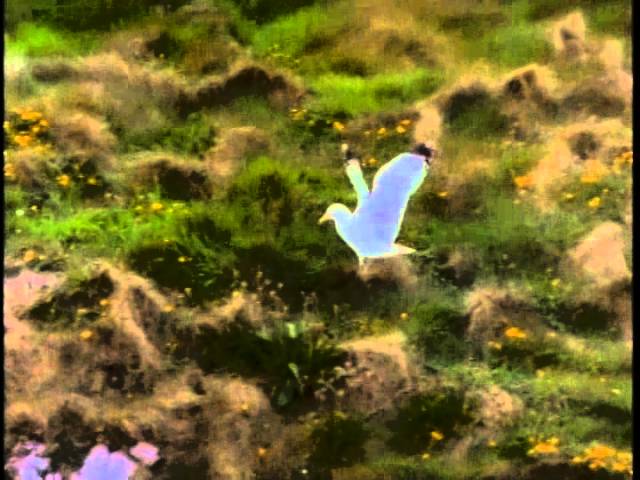 thumbnail img16x9