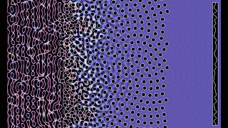 Plane waves crossing a 'sunflower' grid of obstacles with  Neumann conditions