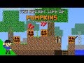 The secret life of pumpkins  a minecraft story