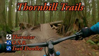 Best MTB trails in Maple Ridge, BC - Thornstar, O.S.R. and Trail Dweller