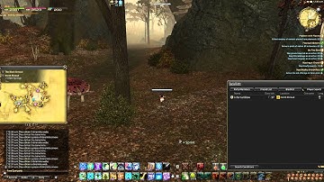 ffxiv Speed - teleport hacking bot