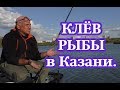 Клёв рыбы в Казани.