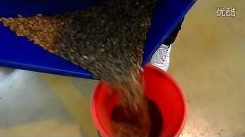 Roasted Coffee Bean Sorting Machine-Email: smarthonesty@yahoo.com