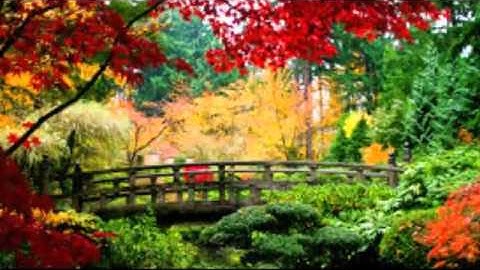 Thumbnail of Lauren Daigle Come Alive (Dry Bones) lyrics