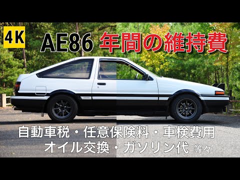 Video Ae86