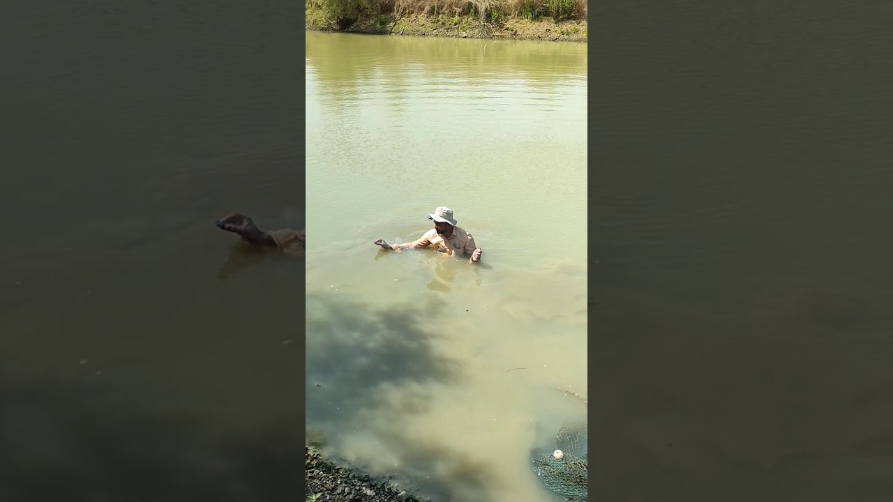 Sutli bomb Vs. Water reaction Experiment 🔥 