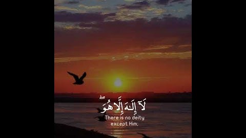 تلاوة هادئة تريح الأعصاب 😴🎧 | القاريء ماهر المعيقلي - سورة غافر 🤍🌥️."