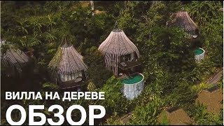 ВЫ ОНЕМЕЕТЕ: ВИЛЛА НА ДЕРЕВЕ(, 2018-07-18T14:44:02.000Z)