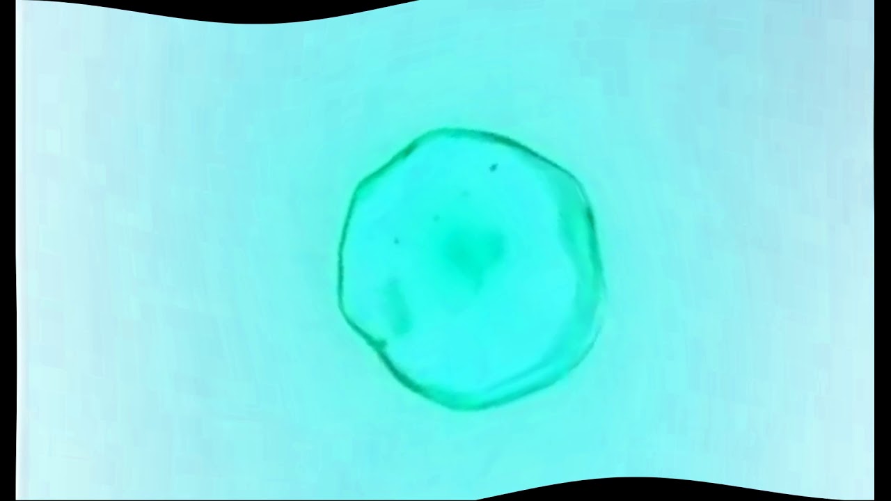 King Best Farture Logos in Old School