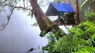 Perkemahan Solo Hujan Lebat|| rumah pokok di tepi sungai