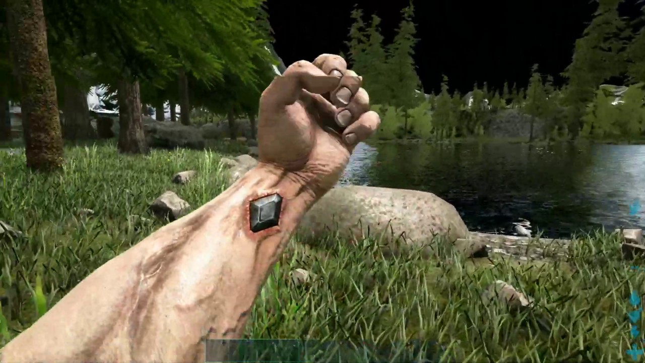 Ark Survival Evolved - Split Screen Let's Play - With Xeriua and Eiralus - Part 01 - 06-07-20