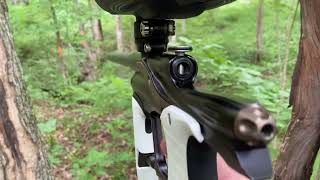 Planet Eclipse LVR Shooting