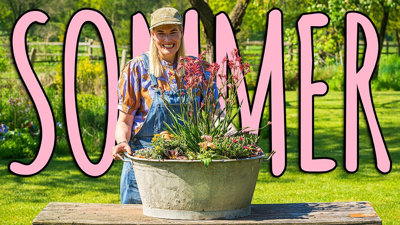 ENDLICH WIEDER DA! Hol dir den Sommer auf Terrasse