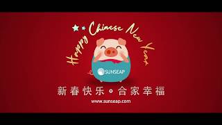 Sunseap Chinese New Year - Year of Pig