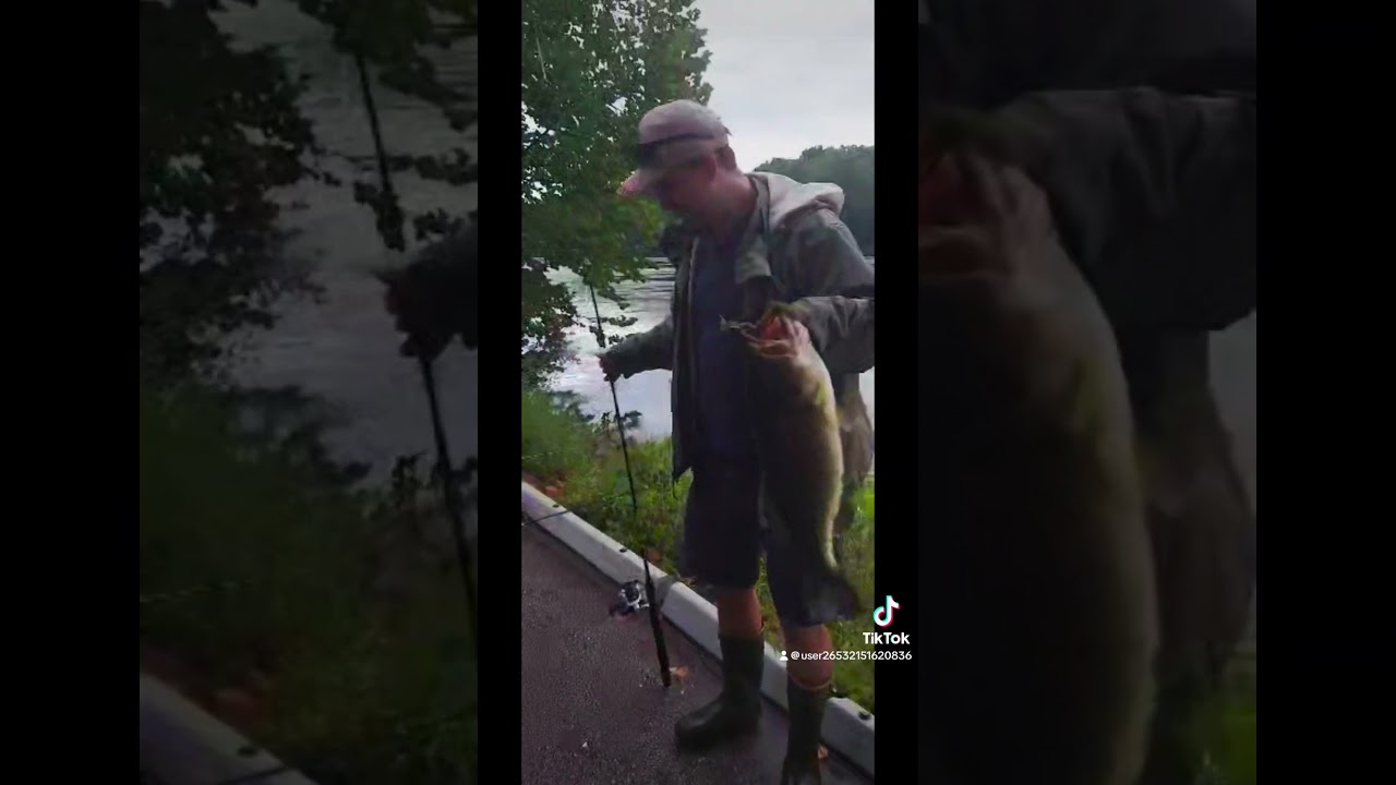 #bigbass