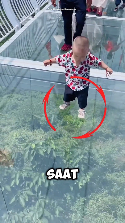the terrifying chinese glass bridge!#shortvideo