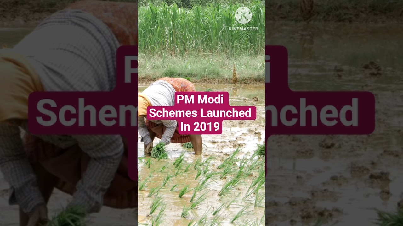 PM Modi Schemes Launched in 2019