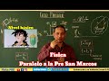 Nuevo curso: Paralelo a la Pre San Marcos