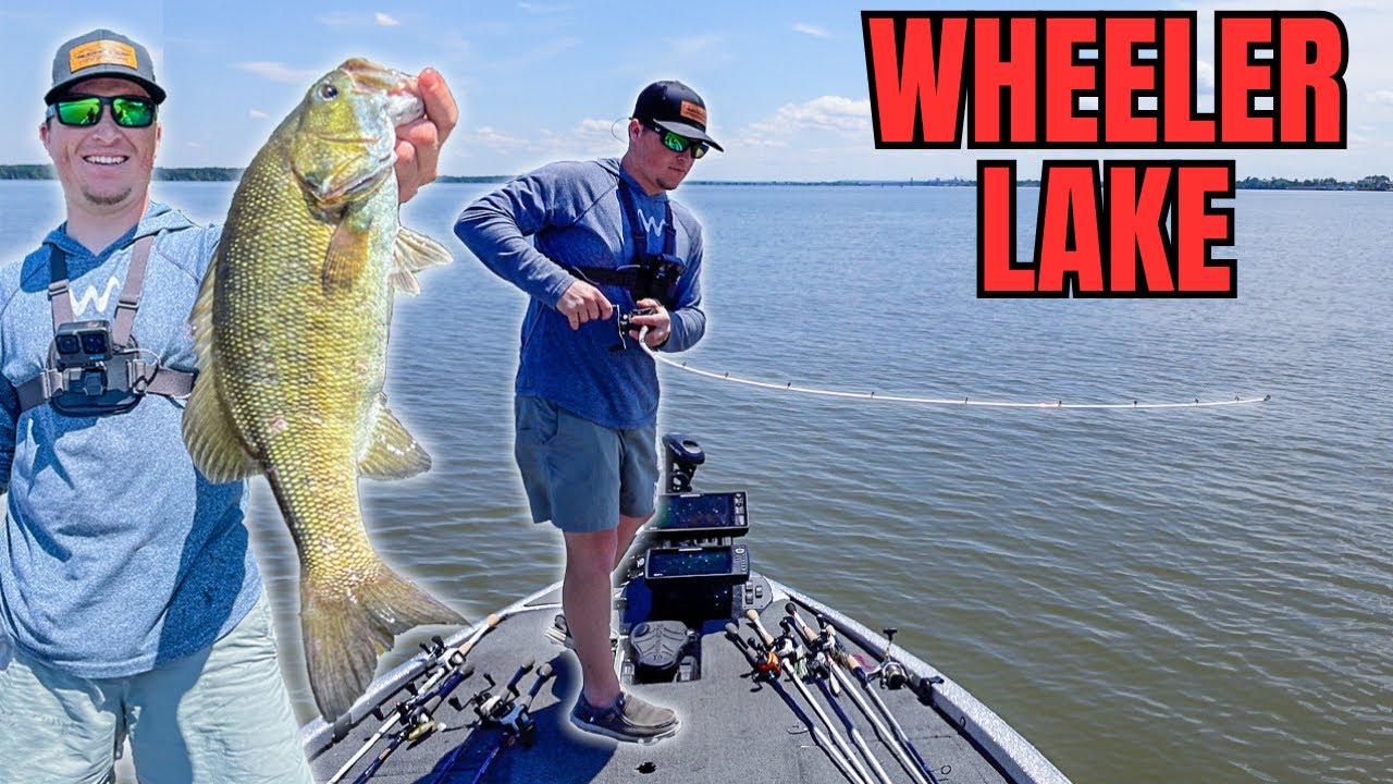 Fishing for the Tournament WINNING Fish!! (TENNESSEE RIVER)