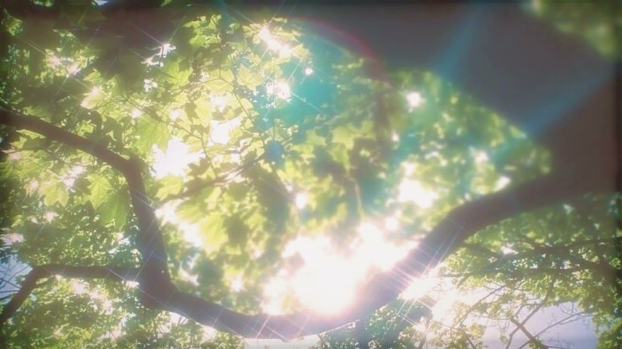 this childhood memory meant to find you