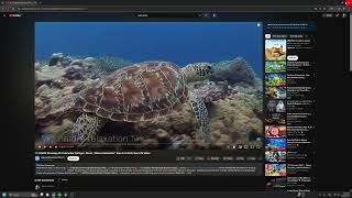 How to create Underwater Lighting Scene in UE5