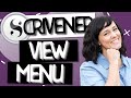 Scrivener 3 Tips and Tricks | View Menu