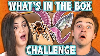 WHAT'S IN THE BOX CHALLENGE! (ft. React Cast) | Challenge Chalice