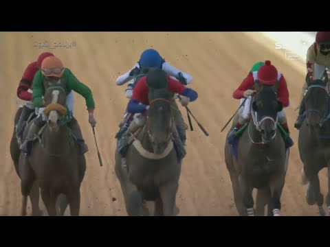 برنامج شوت انطلاق كأس السعودية أغلى سباقات الخيل في العالم