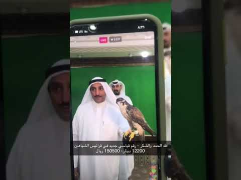 أغلى قرناس شاهين بالعالم