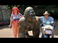 St  Louis Zoo
