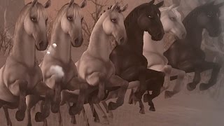 Star Stable Online - Never Forget You Star Stable Online - Never Forget You