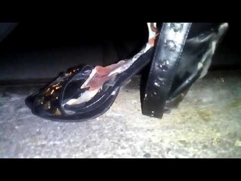 Peeptoe vs my truck