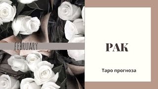 :       2025 #tarot # # #taro # #tarotreading