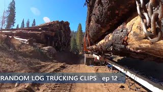 Random Log Trucking Clips ep12    New Camera Angle by Fourth Over 1,289 views 1 year ago 16 minutes