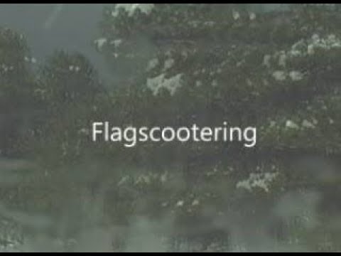 Skipthegames Flagstaff