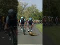 Schreckmoment bei der Ungarn-Rundfahrt! 🦌