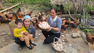 Harvesting Chicken Egg Goes to market sell  Cooking | daily life, live whit nature