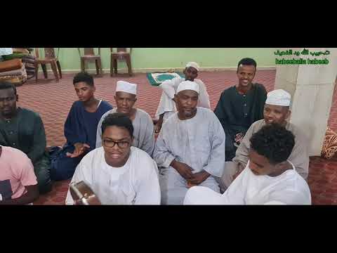 يا نسيمات الدياجي شيلي شوقنا وحننا واقري سلطان المدينة التحيات مننا جديد أبونا الشيخ محمود الضعيف