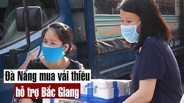 Người Đà Nẵng thuê xe tải, đội nắng mua vải thiều hỗ trợ nông dân Bắc Giang - PLO