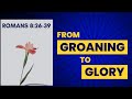 From Groaning to Glory | Romans 8:26-39 | Pastor Thomas Mathew