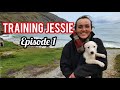 EP. 1 TRAINING JESSIE - My new series on training a sheepdog puppy