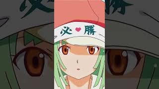 Nadeko Sengoku Monogatari