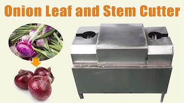 Onion Leaf and Stem Cutter丨Onion Root and Stem Cutting Machine丨Onion Stem Removing Machine