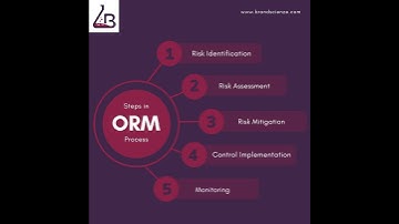STEPS IN ORM PROCESS- Brand Scienze