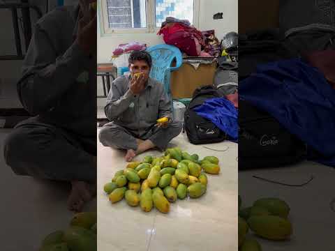 Aam kaise khaate hai
