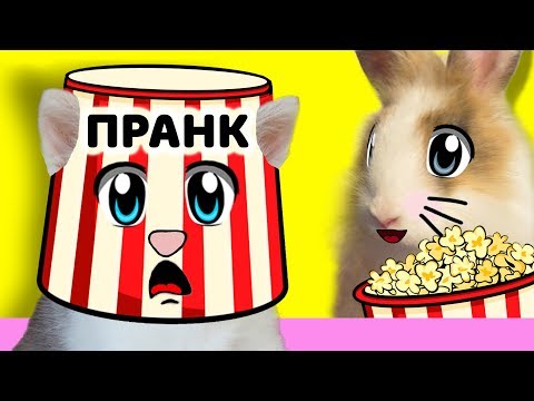 КИНОТЕАТР для Баффи Милаффи! Розыгрыш кошечки Мурки! Как сделать ПРОЕКТОР своими руками